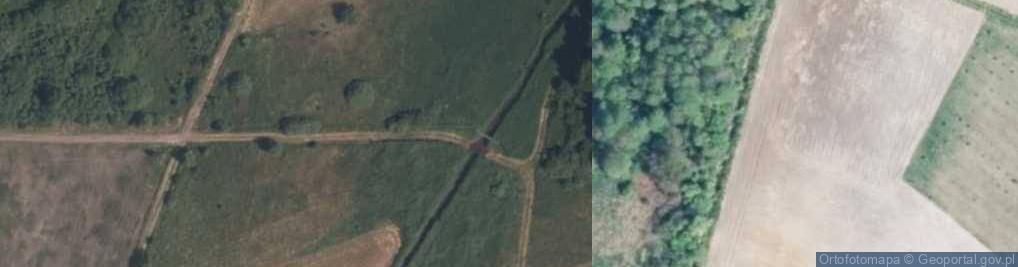 Zdjęcie satelitarne rz. Wąglanka