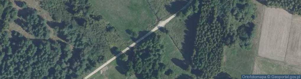 Zdjęcie satelitarne rz. Wierna Rzeka