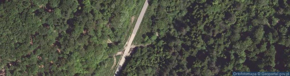 Zdjęcie satelitarne rz. Wołkowyjka