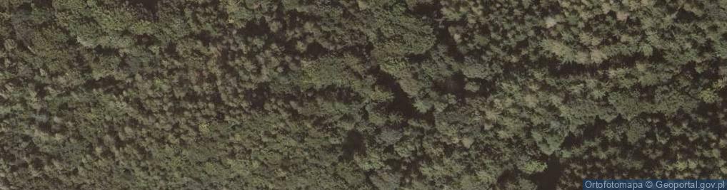 Zdjęcie satelitarne Ośrodek Buddyjski