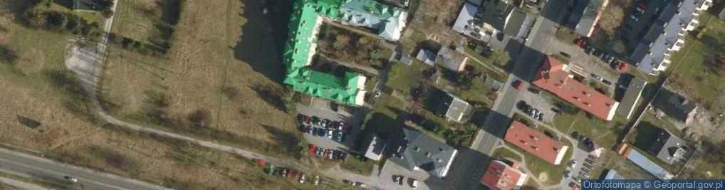 Zdjęcie satelitarne Dachy