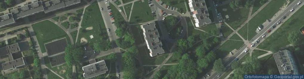 Zdjęcie satelitarne Firma Uslugowa Stan