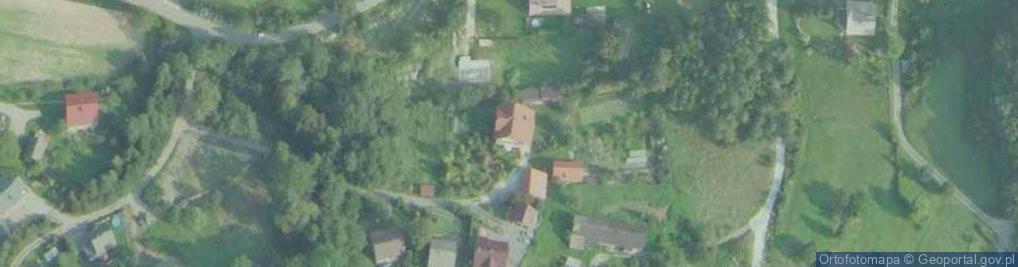 Zdjęcie satelitarne Kazimierz Dąbrowa - Działalność Gospodarcza