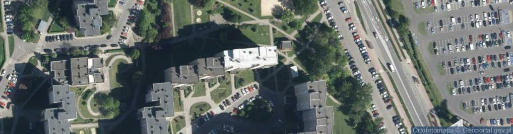 Zdjęcie satelitarne Malarstwo Dekarstwo