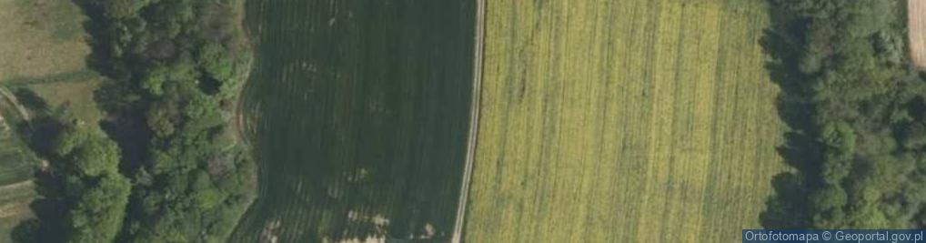Zdjęcie satelitarne Marian Owczarz - Działalność Gospodarcza