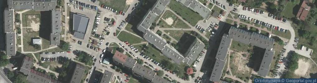 Zdjęcie satelitarne Michał Dziewa - Działalność Gospodarcza