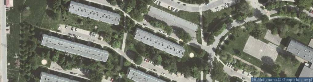 Zdjęcie satelitarne Michał Żurek Denali
