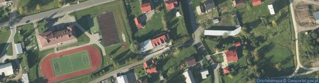 Zdjęcie satelitarne PDI