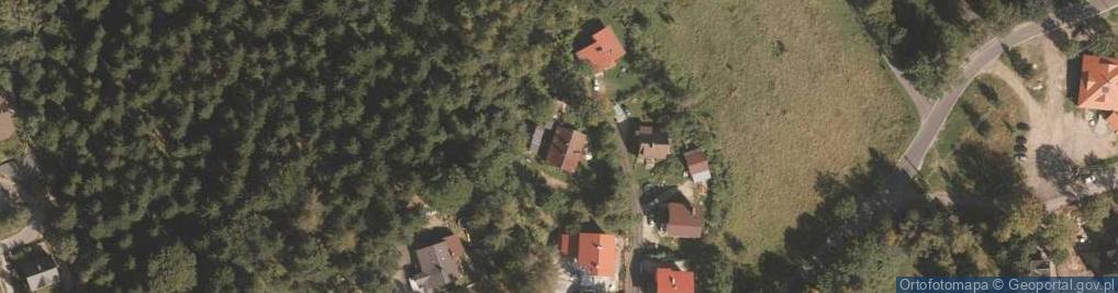 Zdjęcie satelitarne Piotr Tomaszewicz - Transpiotr