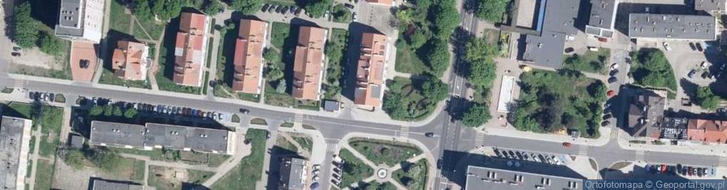 Zdjęcie satelitarne Tadeusz Witowski - Działalność Gospodarcza