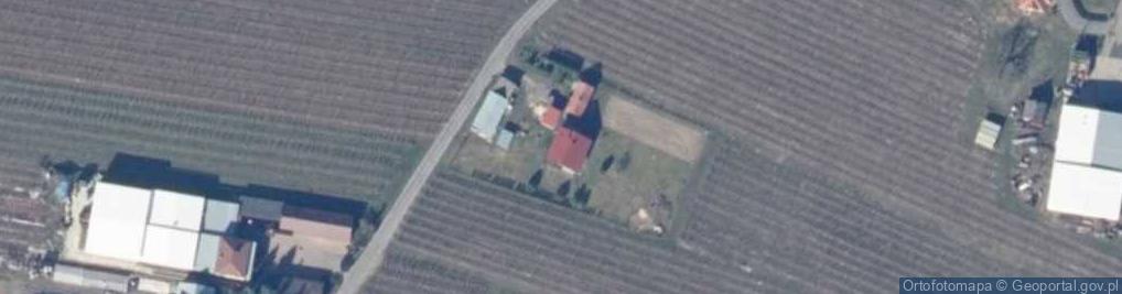 Zdjęcie satelitarne w Wólce Gruszczyńskiej