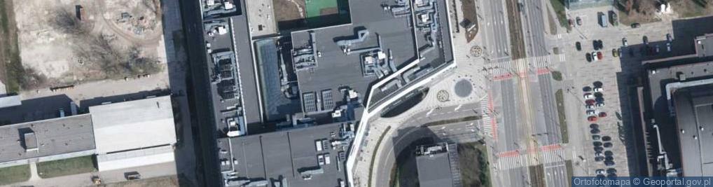 Zdjęcie satelitarne Sukcesja