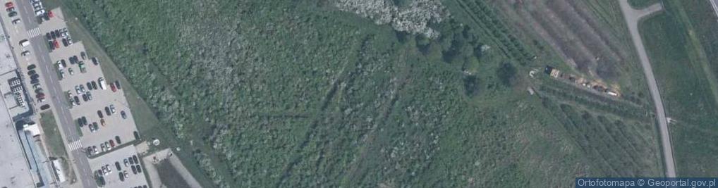 Zdjęcie satelitarne Colian Logistic Sp. z o.o.