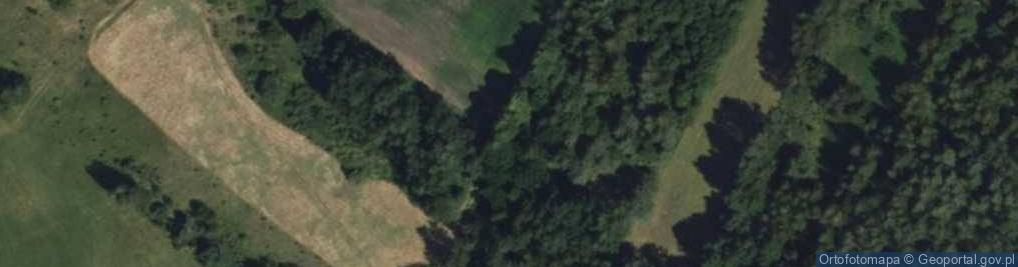 Zdjęcie satelitarne Self24.pl Magazyny Samoobsługowe Self Storage Białystok Południe