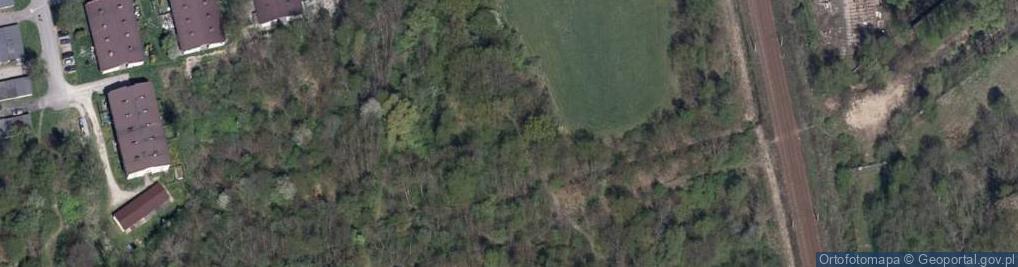 Zdjęcie satelitarne Bażantarnia - Osiedle Wodociągowe