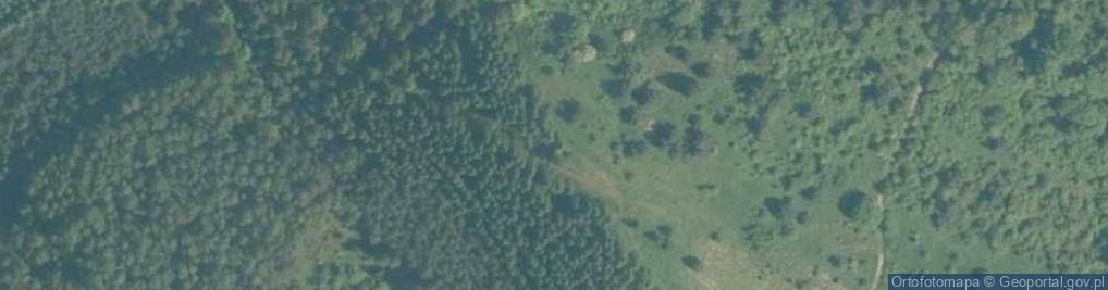 Zdjęcie satelitarne Bożniowa Góra