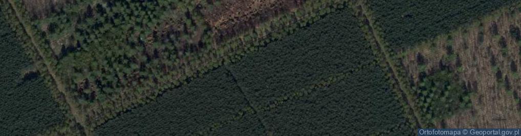 Zdjęcie satelitarne Byłe lotnisko wojskowe radzieckie