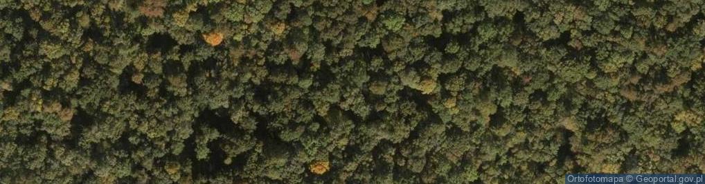Zdjęcie satelitarne Czop wulkaniczny Mszana-Obłoga