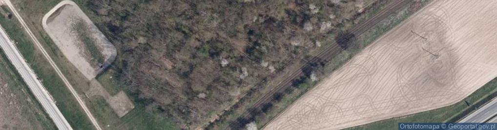 Zdjęcie satelitarne Dawne niemieckie lotnisko