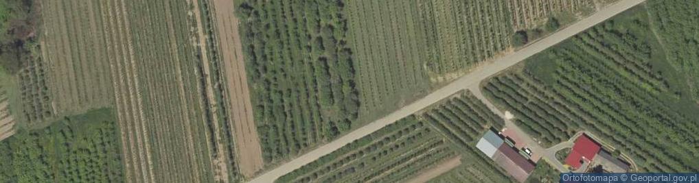 Zdjęcie satelitarne Dawny meander rz. Wisła