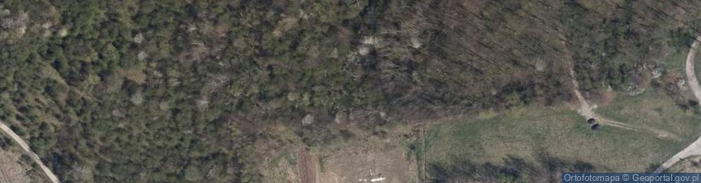 Zdjęcie satelitarne Dawny poligon wojskowy