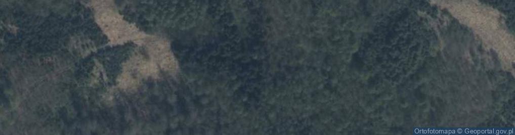 Zdjęcie satelitarne Diabelski Kamień w Puszczy Boreckiej