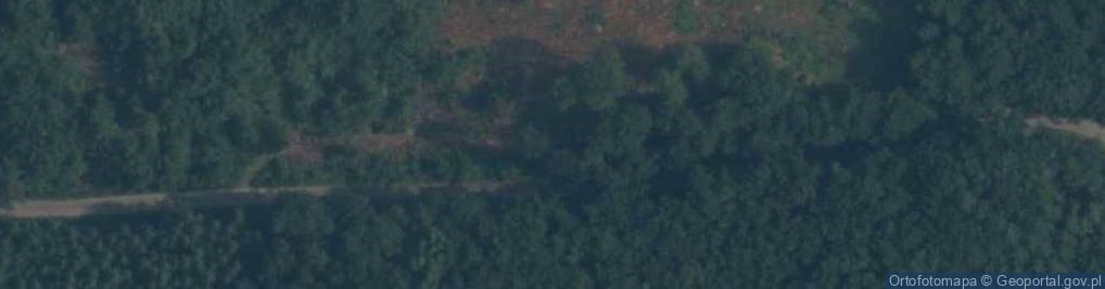 Zdjęcie satelitarne Diabelski Kamień