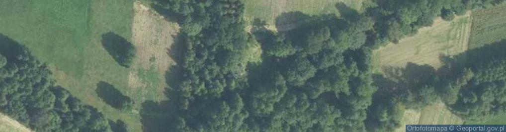 Zdjęcie satelitarne Dolina rz. Dłubnia