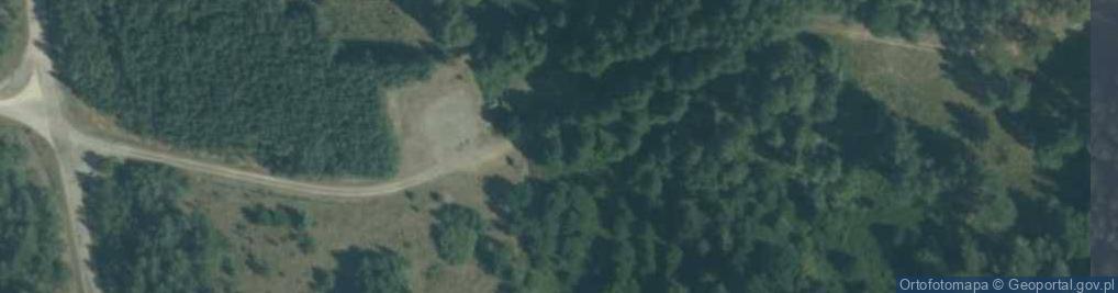Zdjęcie satelitarne Dolina rz. Płytnica