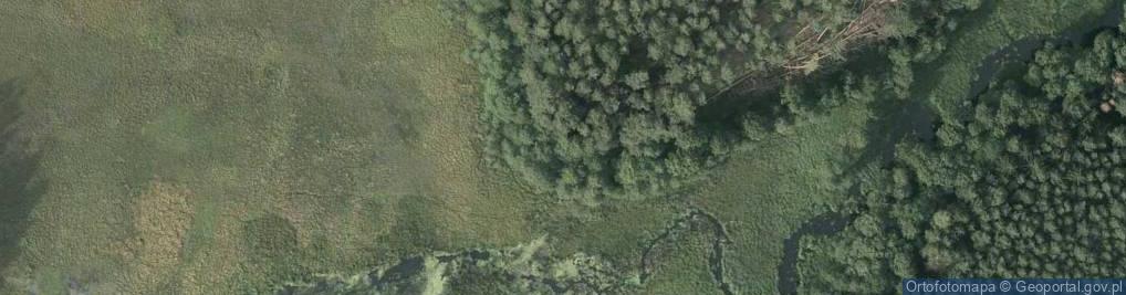 Zdjęcie satelitarne Dolina rz. Stążka