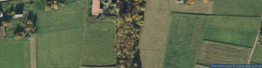 Zdjęcie satelitarne Dolina Wciosowa w Rzepienniku Biskupim