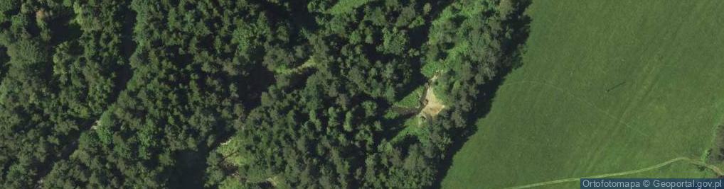 Zdjęcie satelitarne Dolny Paleogen serii sądeckiej w potoku Uhryńskim