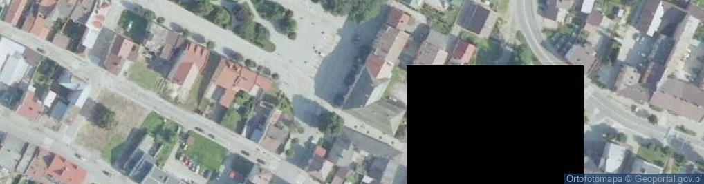 Zdjęcie satelitarne Dom z podcieniami