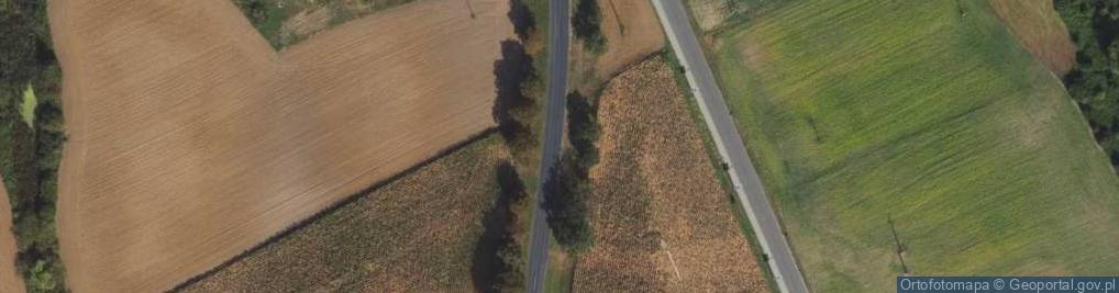 Zdjęcie satelitarne Drumliny - kręte lineacje glacjalne