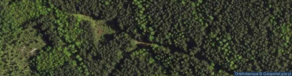 Zdjęcie satelitarne Forma szczelinowa - Góry Dębowe
