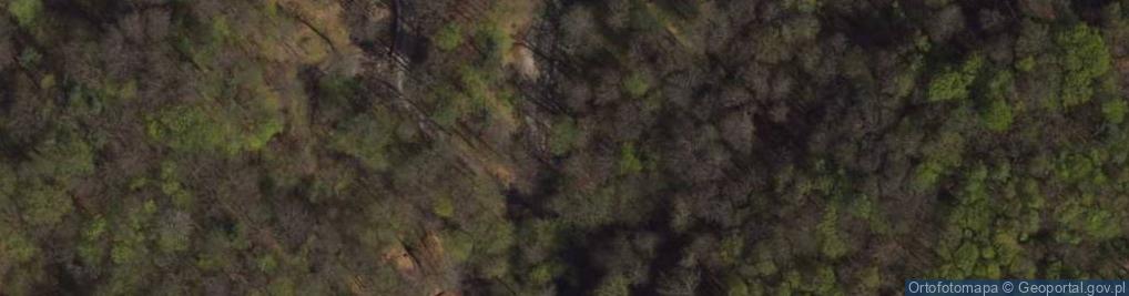 Zdjęcie satelitarne Głaz narzutowy Diabelski Kamień