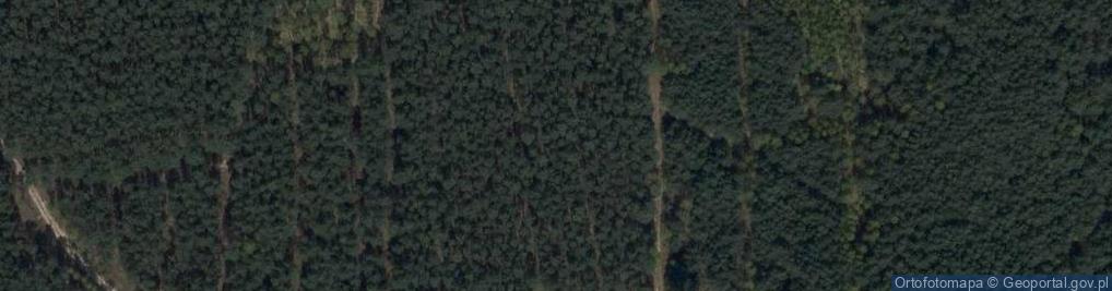 Zdjęcie satelitarne Głaz narzutowy Jędrek