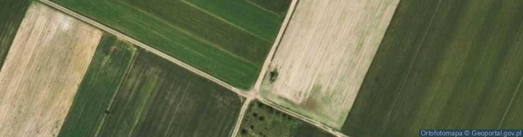 Zdjęcie satelitarne Głaz narzutowy Kucak