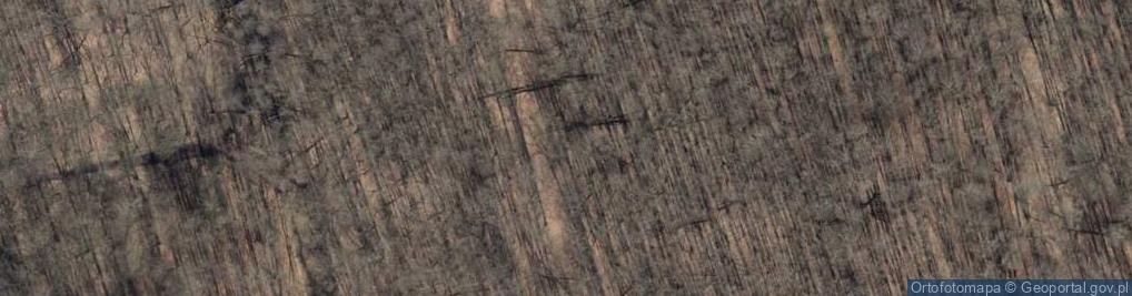 Zdjęcie satelitarne Głaz narzutowy Omszały Głaz