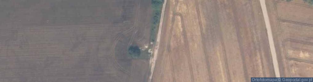 Zdjęcie satelitarne Głaz narzutowy przy lotnisku w Odargowie