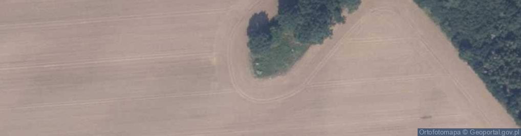 Zdjęcie satelitarne Głaz narzutowy przy szosie Pustowo-Ciecholub