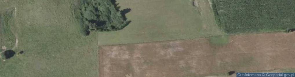 Zdjęcie satelitarne Głaz narzutowy w Gulbieniszkach