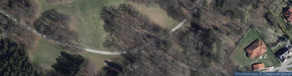Zdjęcie satelitarne Głaz narzutowy w Rusinowej