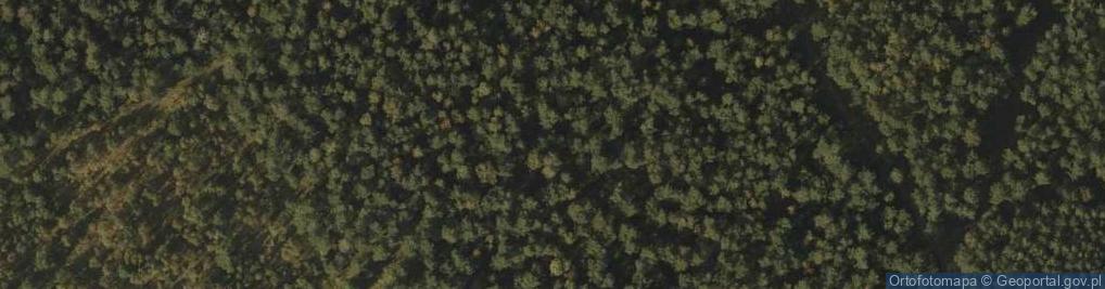 Zdjęcie satelitarne Głaz narzutowy w Teresinie
