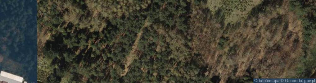 Zdjęcie satelitarne Głaz narzutowy
