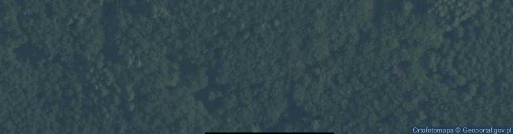 Zdjęcie satelitarne Głaz przy Jeziorze Ostrzyckim