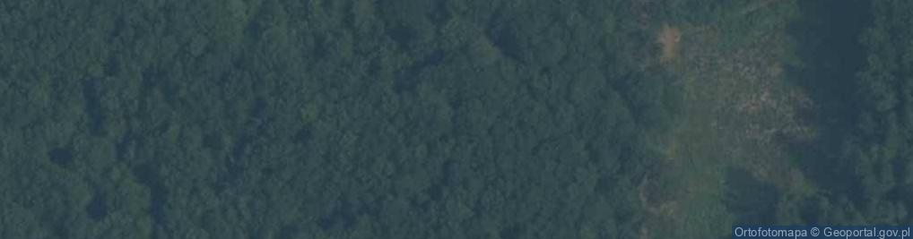 Zdjęcie satelitarne Głaz w Leśnictwie Jastrzębce