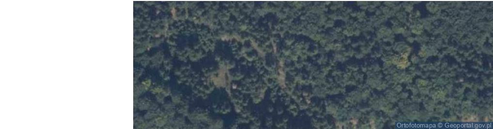 Zdjęcie satelitarne Głaz w Leśnictwie Podgóry