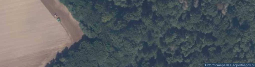 Zdjęcie satelitarne Głaz w Leśnictwie Pustowo