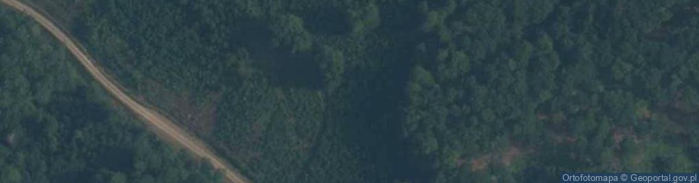 Zdjęcie satelitarne Głaz w Leśnictwie Wojanowo